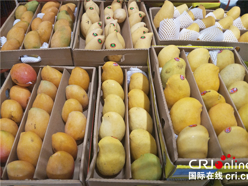 艺术品进出口 中国-南亚博览会暨昆明进出口商品交易会的新亮点